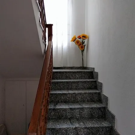 Patty's House * 콜리코