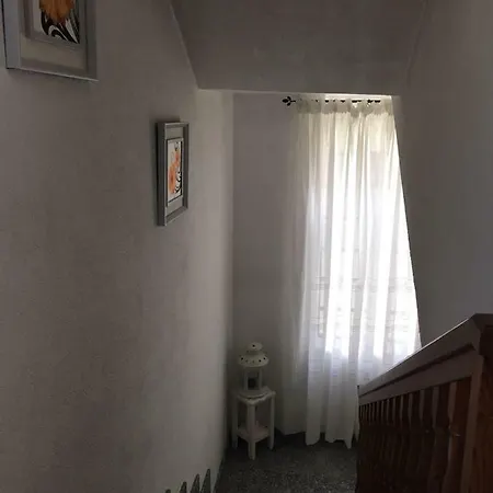 Patty's House Colico