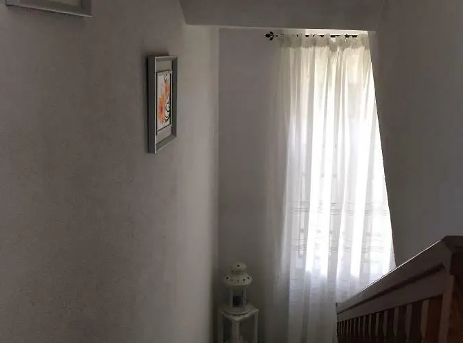 Patty's House 콜리코